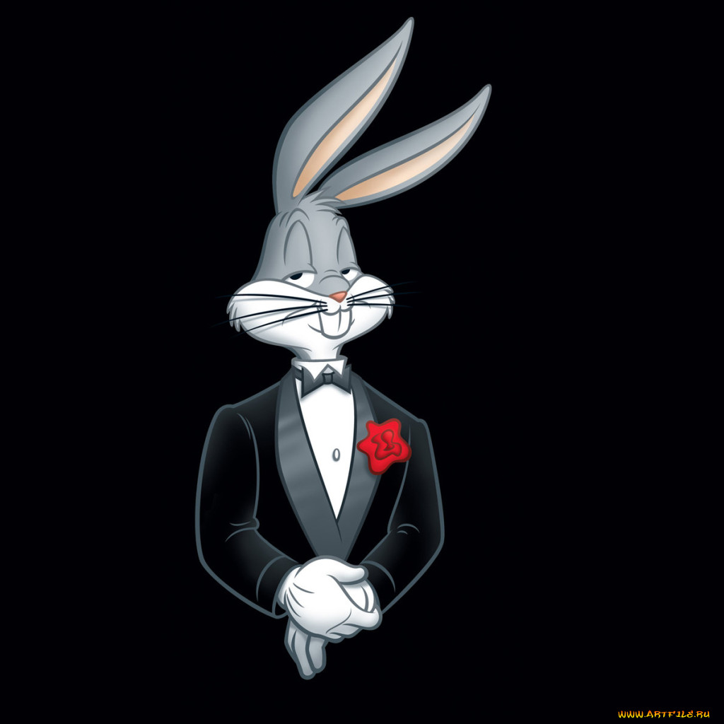 Обои Looney Tunes Мультфильмы Looney Tunes, обои для рабочего стола,  фотографии looney tunes, мультфильмы, looney, tunes, луни, тюнз, весёлые,  мелодии, багз, банни Обои для рабочего стола, скачать обои картинки  заставки на рабочий